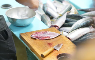 くさやの里（要事前予約）