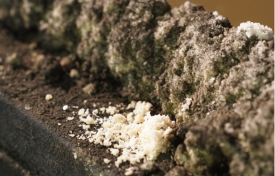 しおさいの塩工房見学（要予約）