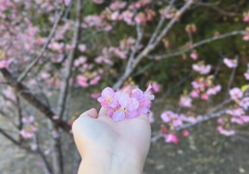 🌸新メンバーが加わりました🌸